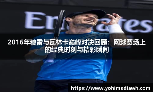 易游体育app