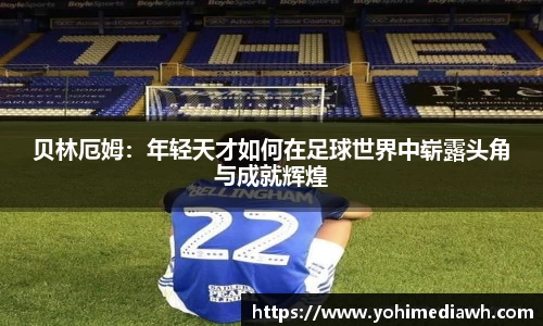 易游体育