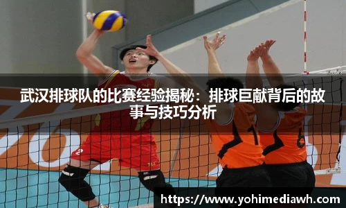 易游体育app